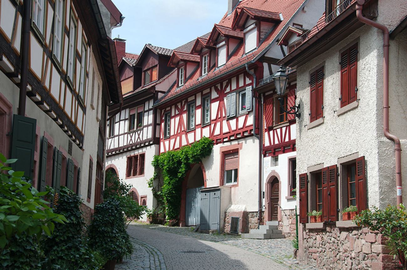 Altbau­sanierung bei Palm Elektroservice in Altenburg